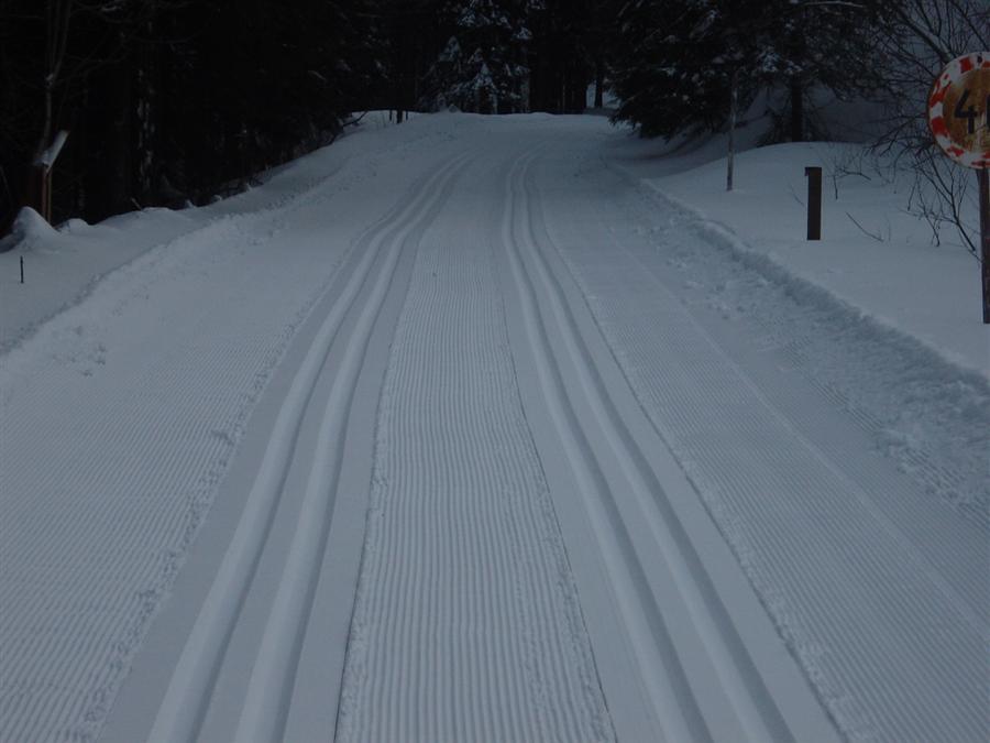 Skiarel Sviorky Na Morvce - Beeck tra