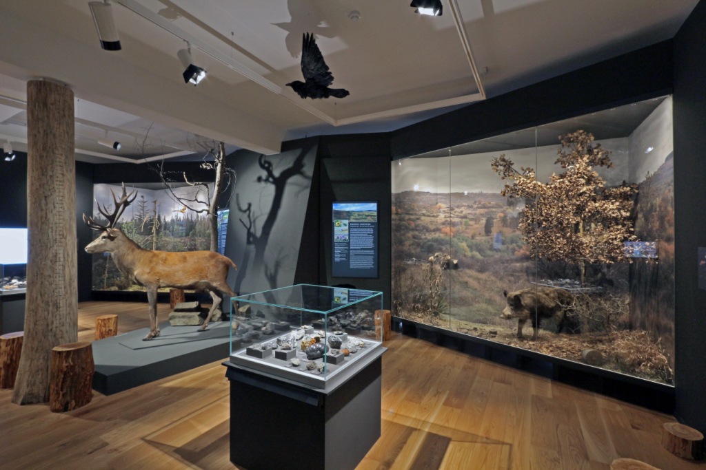 MUZEUM KARLOVY VARY 