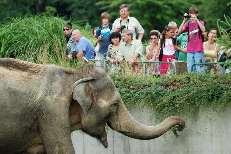 Zoo Ostrava