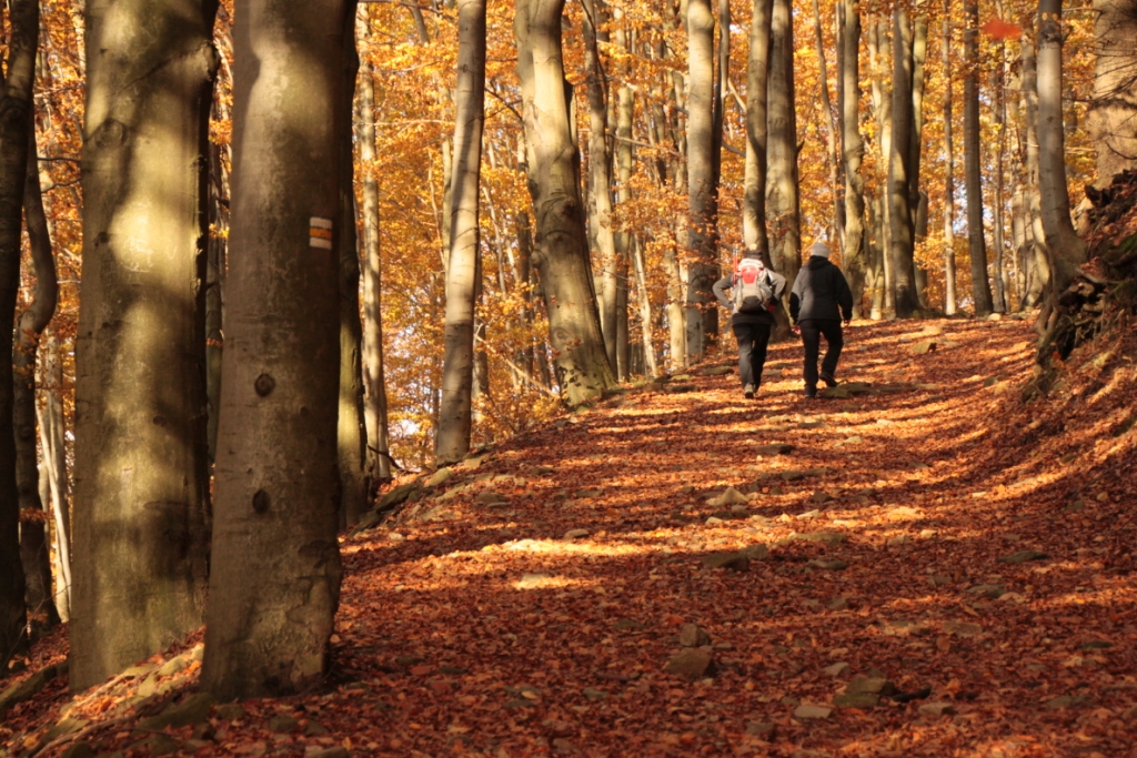 OSTRAVICE - �ANCE - POD �UPLEM - KOBYLANKA - LYS� HORA