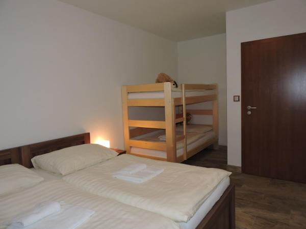 APARTMNY HARTMAN - OLENICE V ORLICKCH HORCH