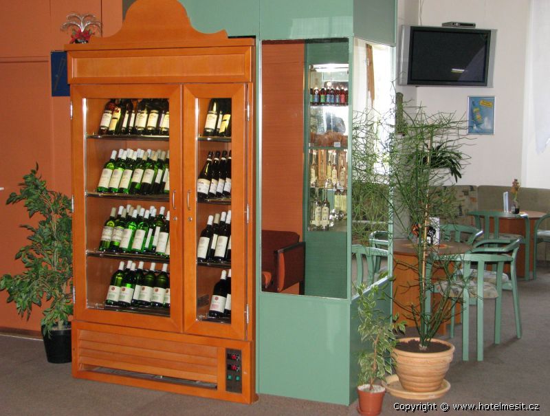 HOTEL MESIT *** HORN� BE�VA